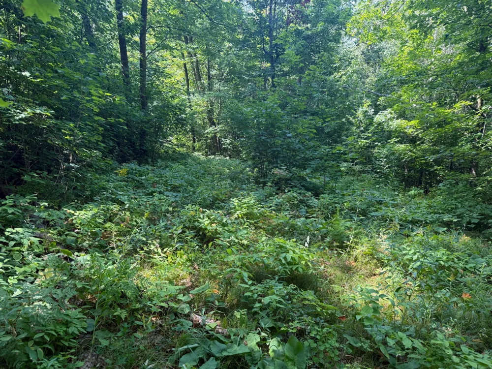 TBD S Tulaby Lake LN Waubun, MN 56589