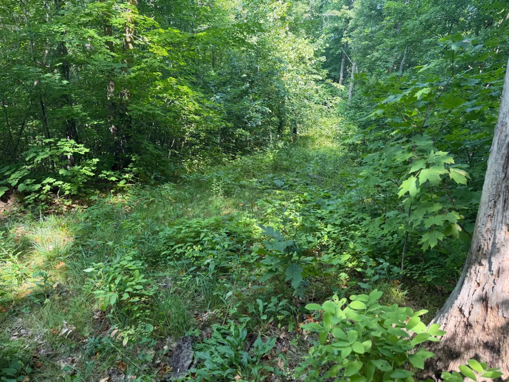 TBD S Tulaby Lake LN Waubun, MN 56589