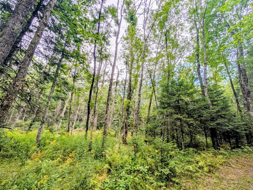 11921 S Ossman Road Solon Springs, WI 54873