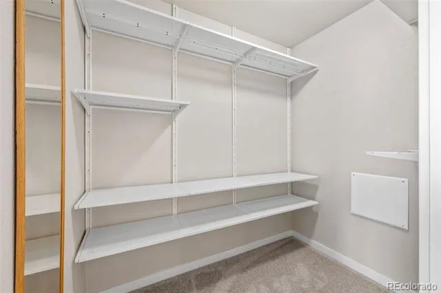 10137 Belvedere Loop Lone Tree, CO 80124
