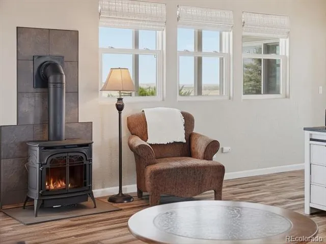 13424 Alex Place Carr, CO 80612