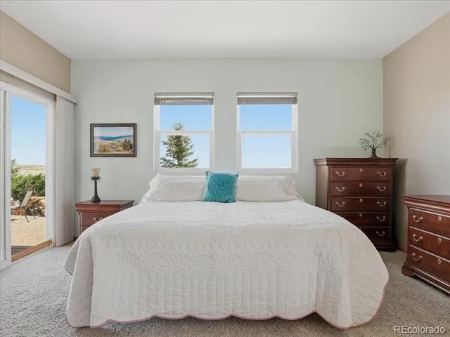 13424 Alex Place Carr, CO 80612