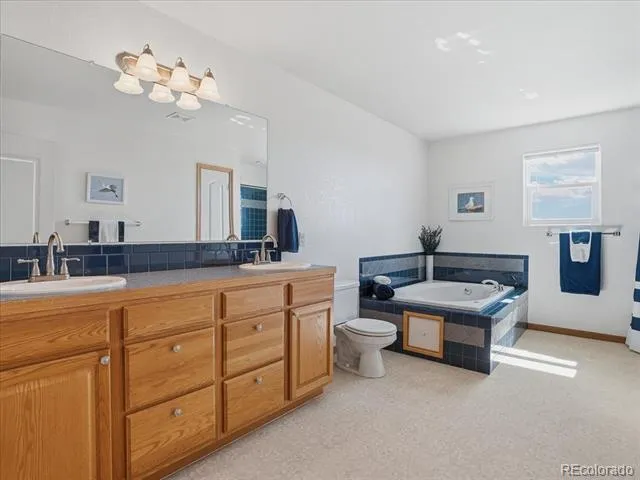 13424 Alex Place Carr, CO 80612