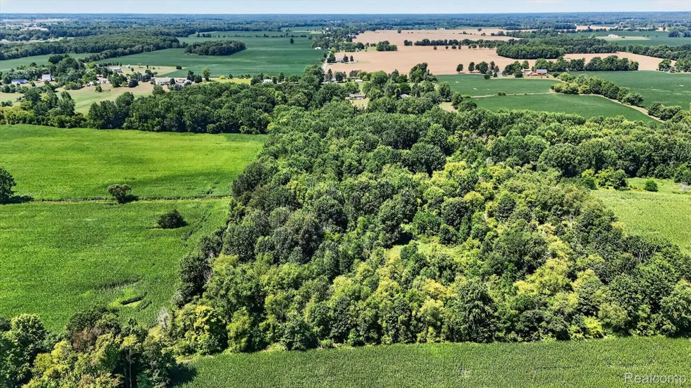 3760 Webberville Road Locke Township, MI 48895