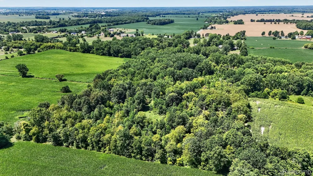 3760 Webberville Road Locke Township, MI 48895