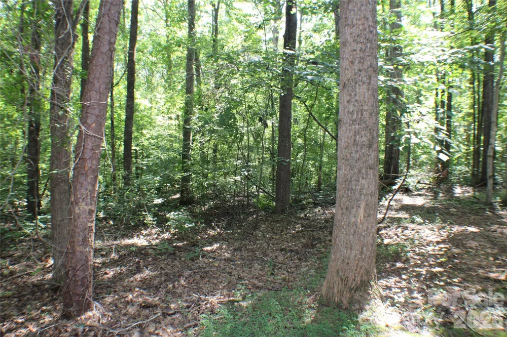 6804 Glover Lane Stanley, NC 28164