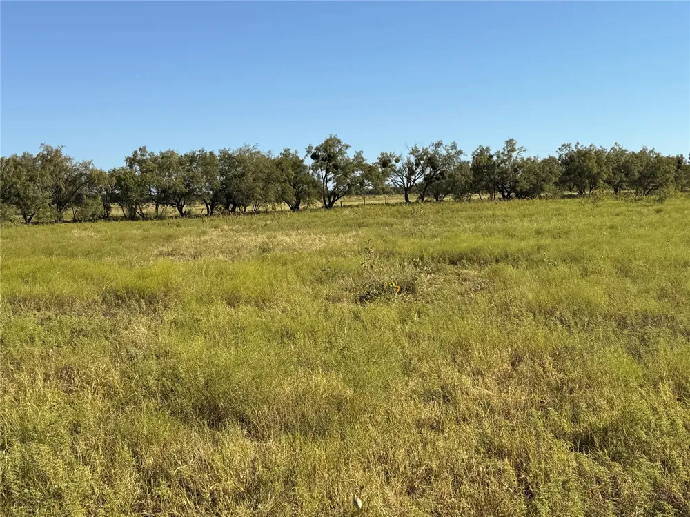 817 STATE HIGHWAY 153 Wingate, TX 79566