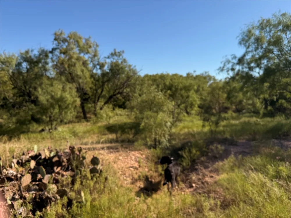 817 STATE HIGHWAY 153 Wingate, TX 79566