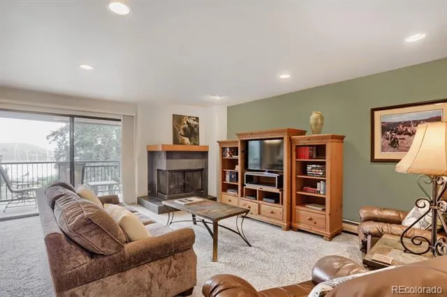 160 E La Bonte Street #201 Dillon, CO 80435