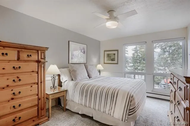 160 E La Bonte Street #201 Dillon, CO 80435