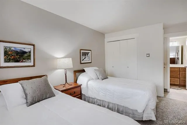 160 E La Bonte Street #201 Dillon, CO 80435