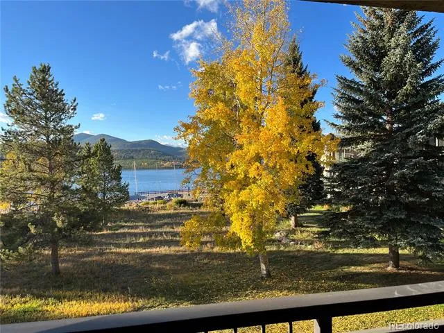 160 E La Bonte Street #201 Dillon, CO 80435