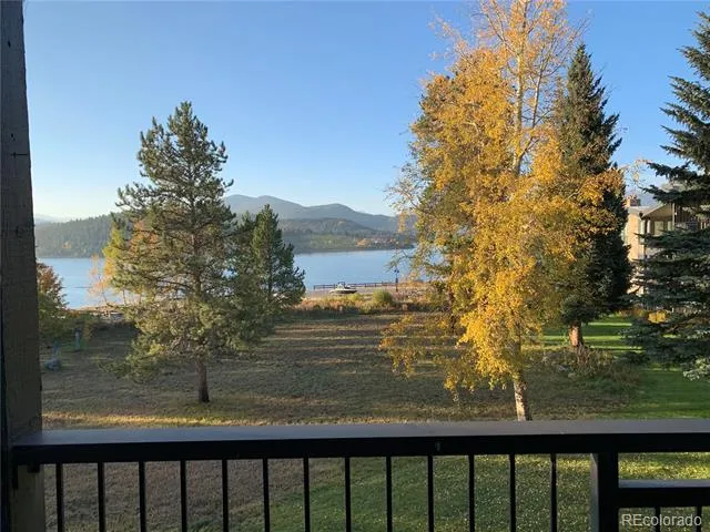 160 E La Bonte Street #201 Dillon, CO 80435
