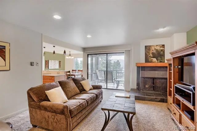 160 E La Bonte Street #201 Dillon, CO 80435