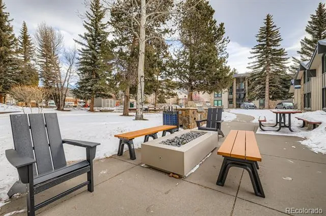 160 E La Bonte Street #201 Dillon, CO 80435