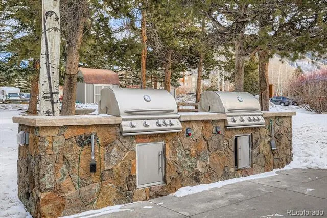 160 E La Bonte Street #201 Dillon, CO 80435