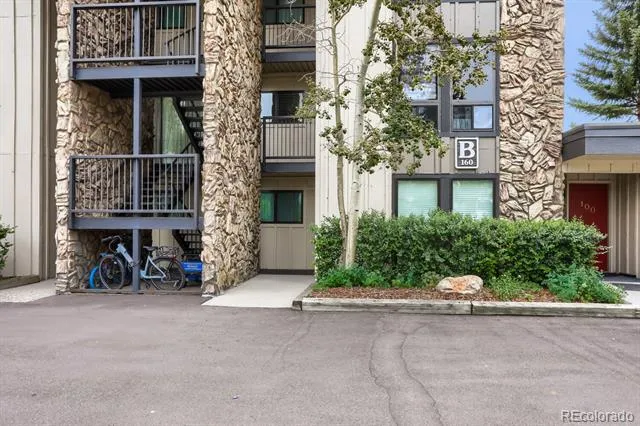 160 E La Bonte Street #201 Dillon, CO 80435