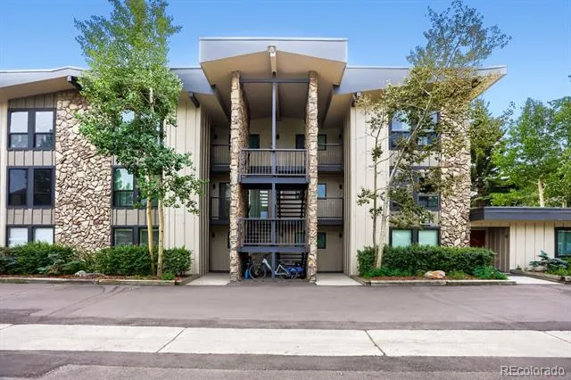 160 E La Bonte Street #201 Dillon, CO 80435