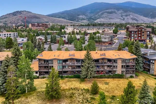 160 E La Bonte Street #201 Dillon, CO 80435