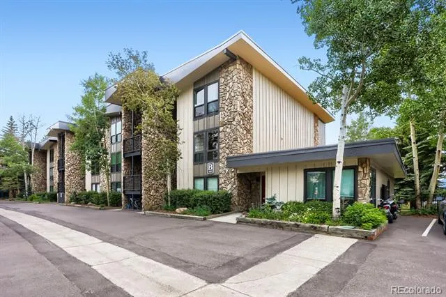 160 E La Bonte Street #201 Dillon, CO 80435