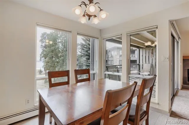 160 E La Bonte Street #201 Dillon, CO 80435