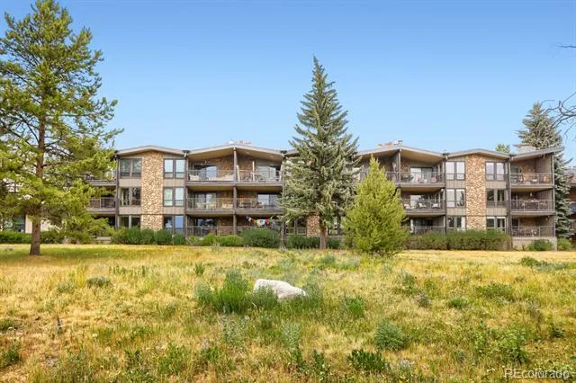 160 E La Bonte Street #201 Dillon, CO 80435