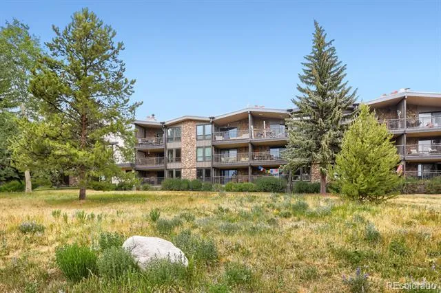 160 E La Bonte Street #201 Dillon, CO 80435