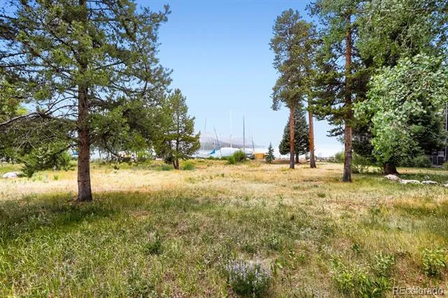 160 E La Bonte Street #201 Dillon, CO 80435