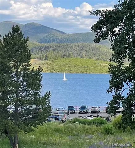 160 E La Bonte Street #201 Dillon, CO 80435