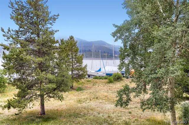 160 E La Bonte Street #201 Dillon, CO 80435