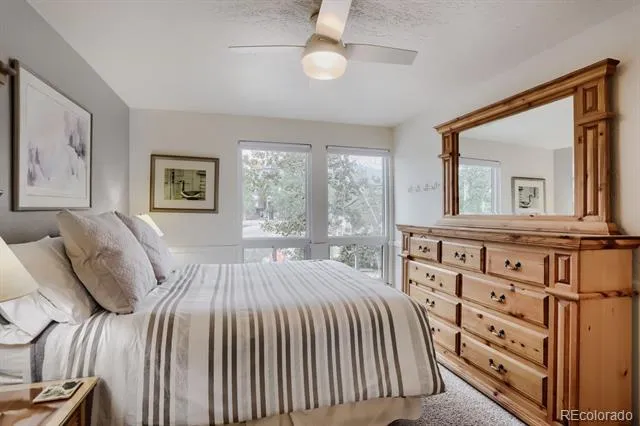 160 E La Bonte Street #201 Dillon, CO 80435