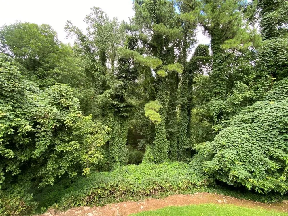 1640 Canberra Drive Stone Mountain, GA 30088