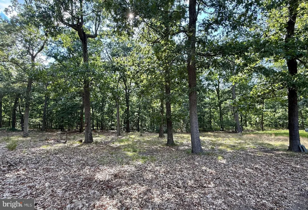 403 STILLMAN AVENUE Bridgeton, NJ 08302