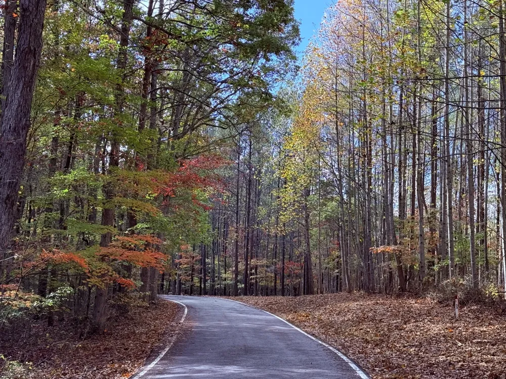 0 Rocky Lane Spencer, TN 38585
