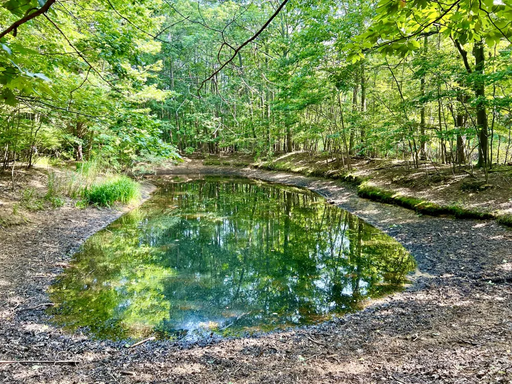 1735 Darling Lane Ganges Township, MI 49408