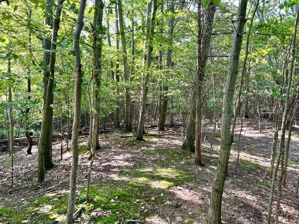 1735 Darling Lane Ganges Township, MI 49408