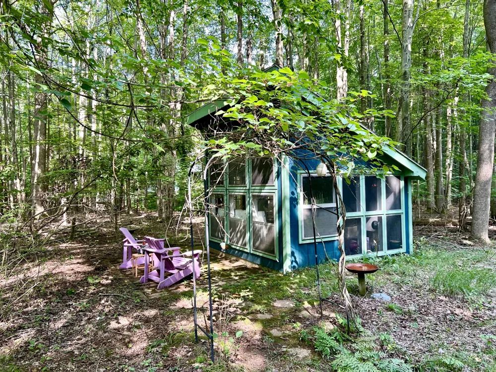 1735 Darling Lane Ganges Township, MI 49408