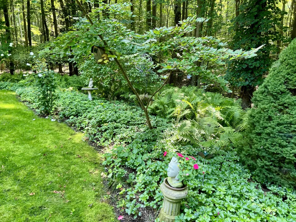 1735 Darling Lane Ganges Township, MI 49408