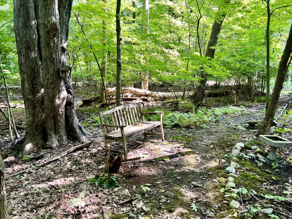 1735 Darling Lane Ganges Township, MI 49408