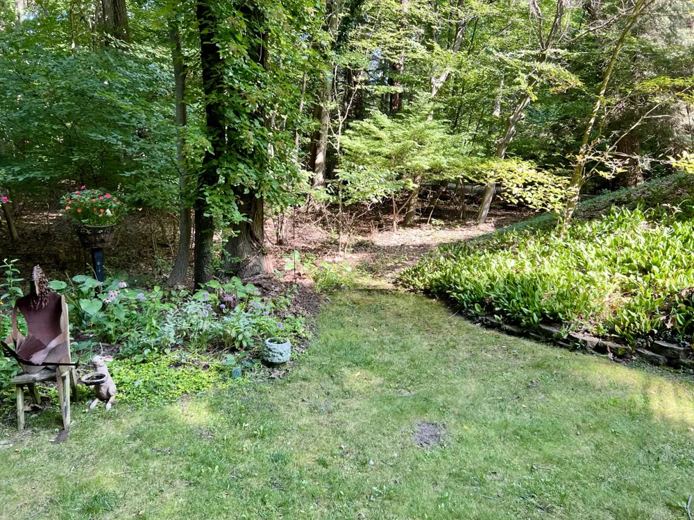 1735 Darling Lane Ganges Township, MI 49408