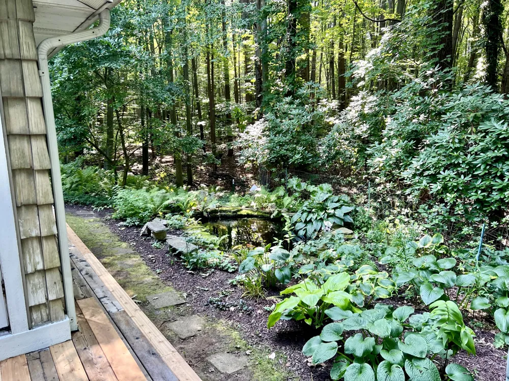 1735 Darling Lane Ganges Township, MI 49408