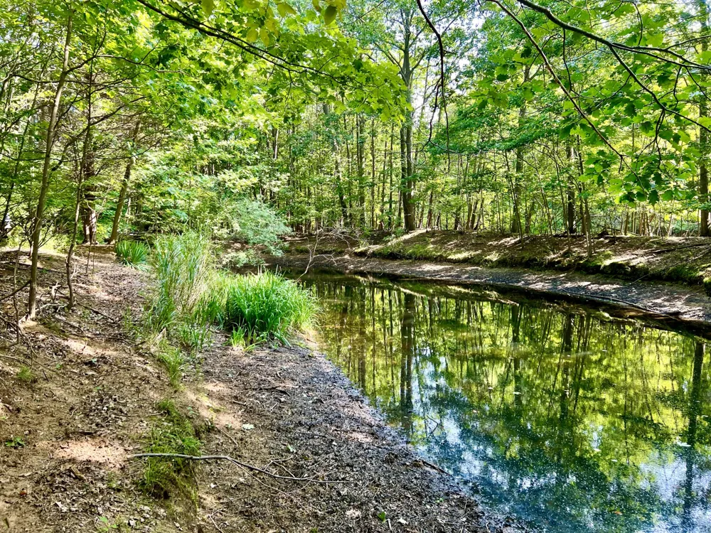 1735 Darling Lane Ganges Township, MI 49408