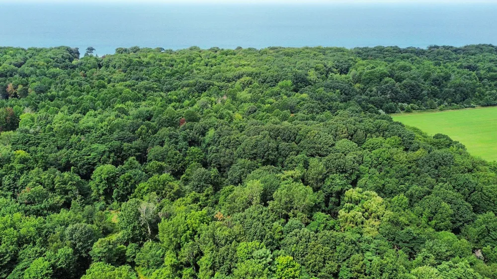1735 Darling Lane Ganges Township, MI 49408
