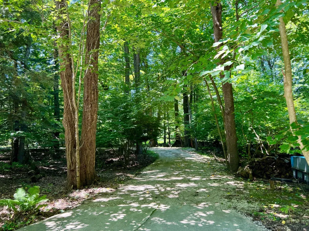 1735 Darling Lane Ganges Township, MI 49408