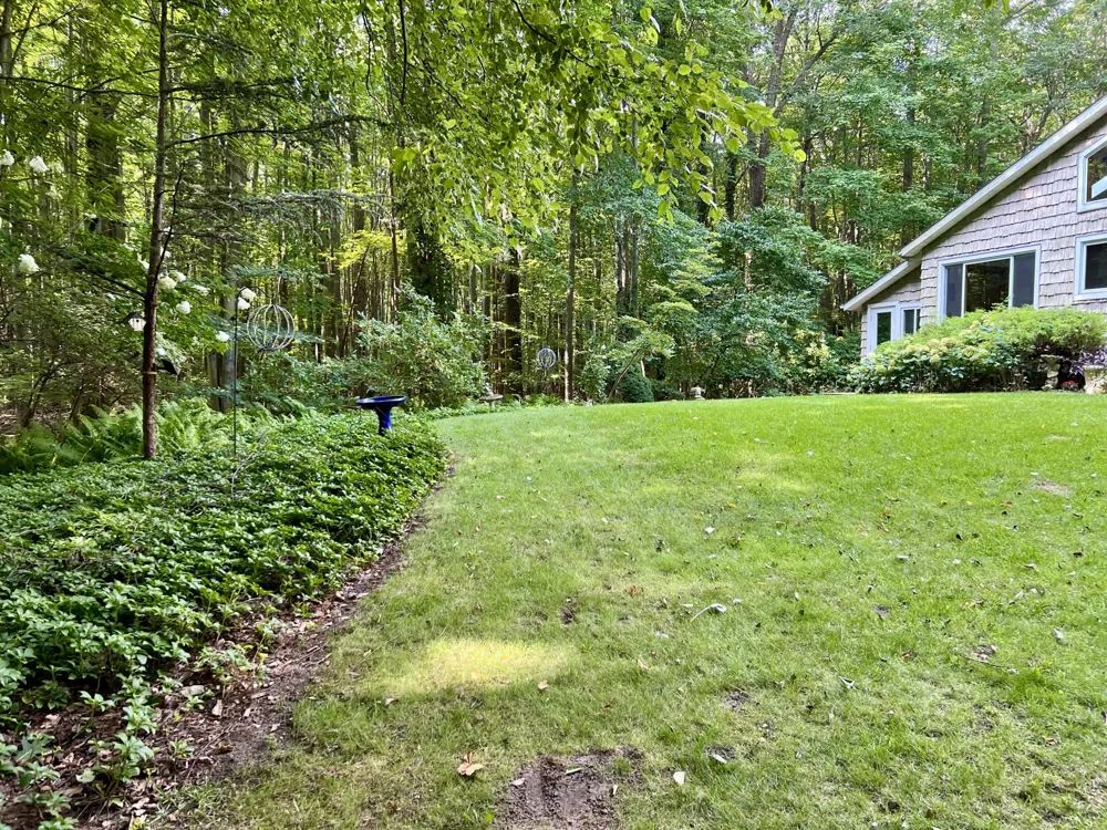 1735 Darling Lane Ganges Township, MI 49408