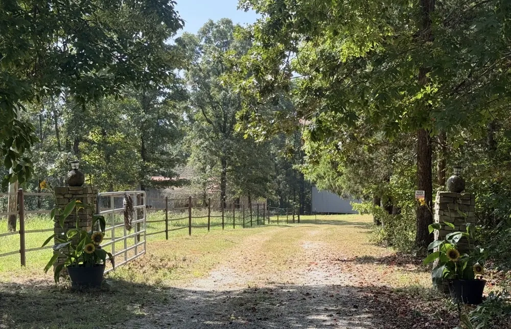 187 Th Hooper Ln Mc Ewen, TN 37101