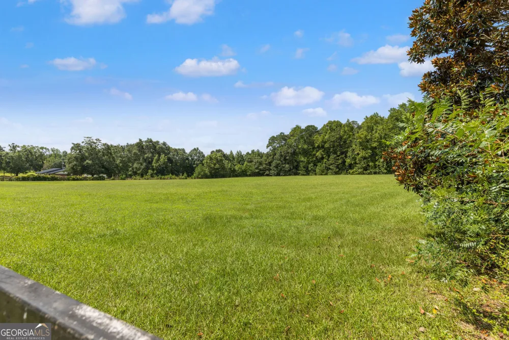 1064 Chappell Mill RD Milner, GA 30257