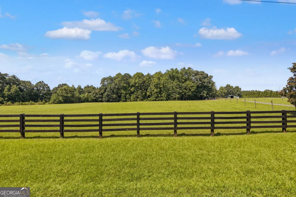 1064 Chappell Mill RD Milner, GA 30257