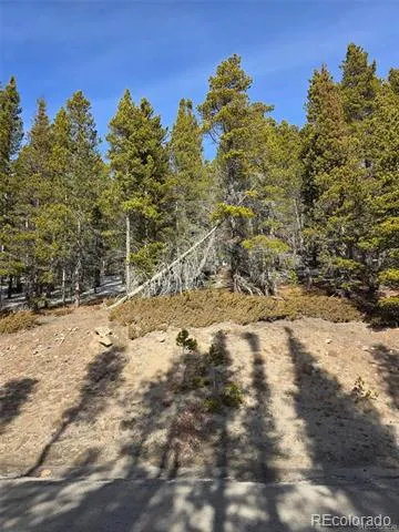 Lot 680 Alice Road Idaho Springs, CO 80453