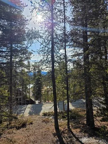 Lot 680 Alice Road Idaho Springs, CO 80453